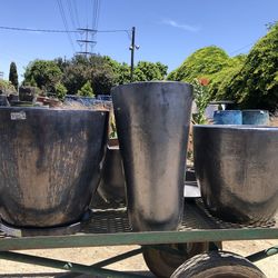 Beautiful Flower pot