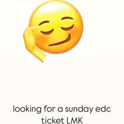 SUNDAY EDC TICKET