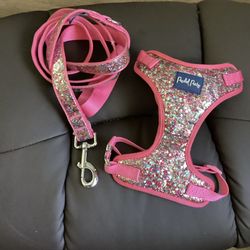 Designer Dog Harness  & Leash