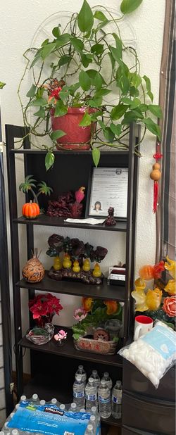 Shelves