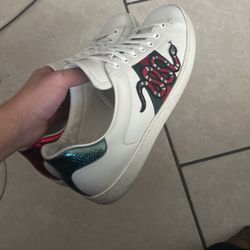Gucci Shoes