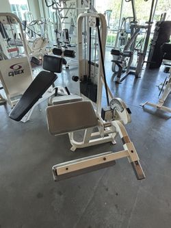 🔥 CYBEX PRONE LEG CURL MACHINE FOR SALE 🔥