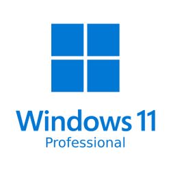 Windows 11 Professional - 32GB USB INSTALLER