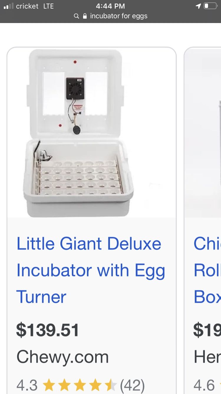 Egg Incubator