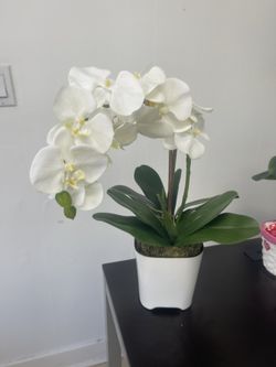 Faux Orchid Arrangement