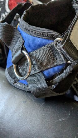 Dog Harness XS
