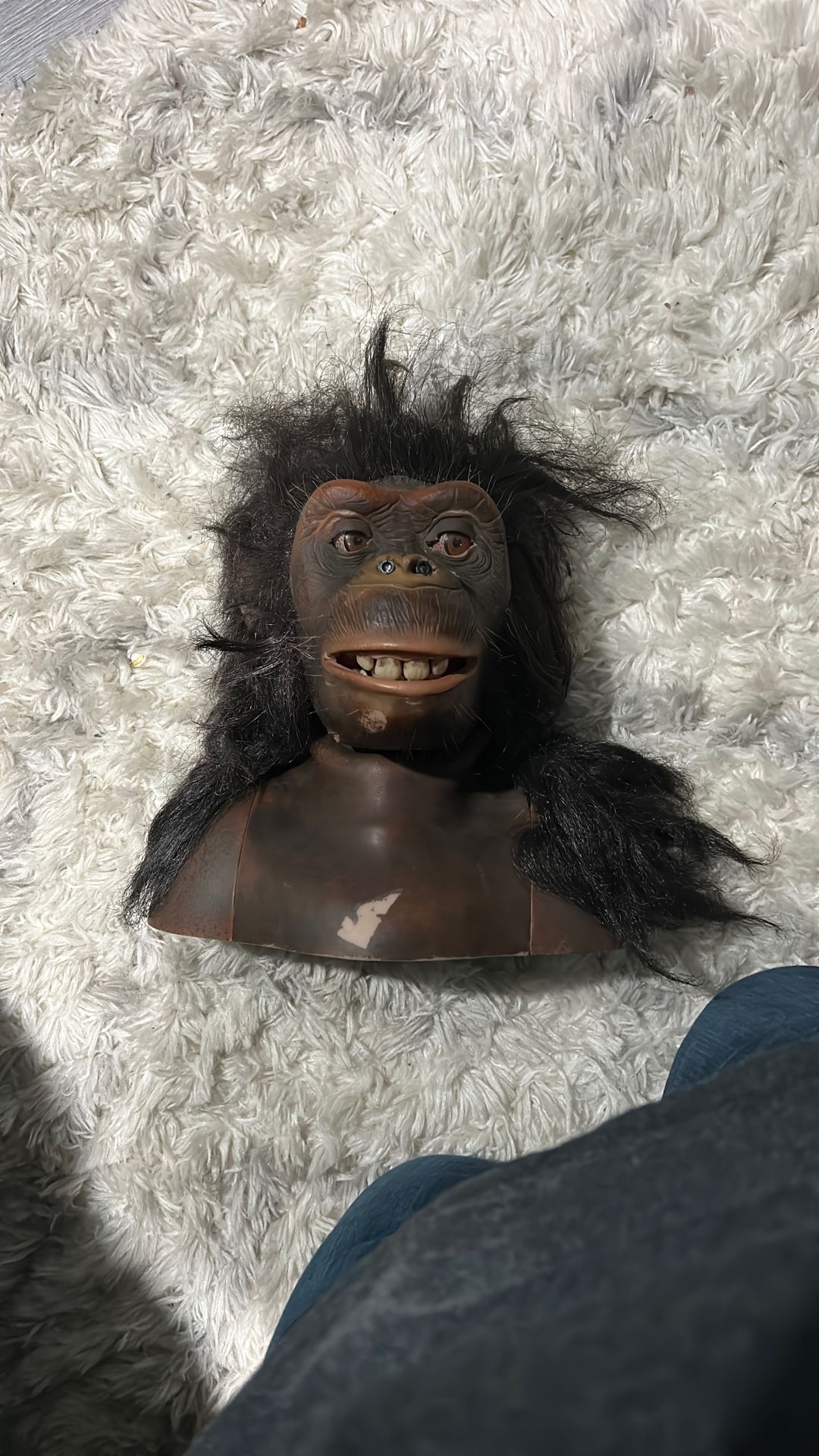 Alive Chimpanzees $180 Se Mueve No Control