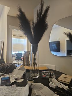 Black Decor Feathers