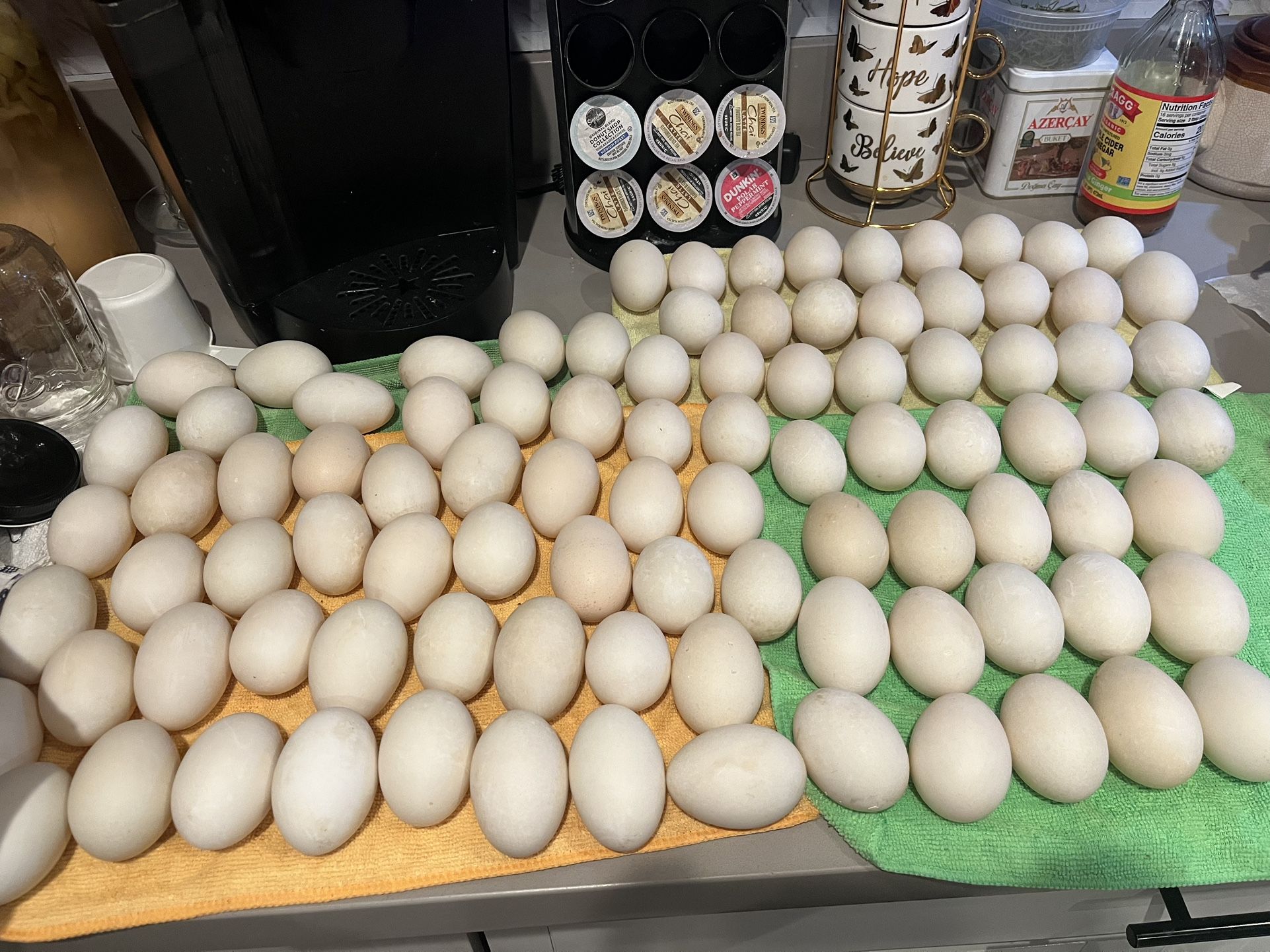 Fresh Farm Duck Eggs