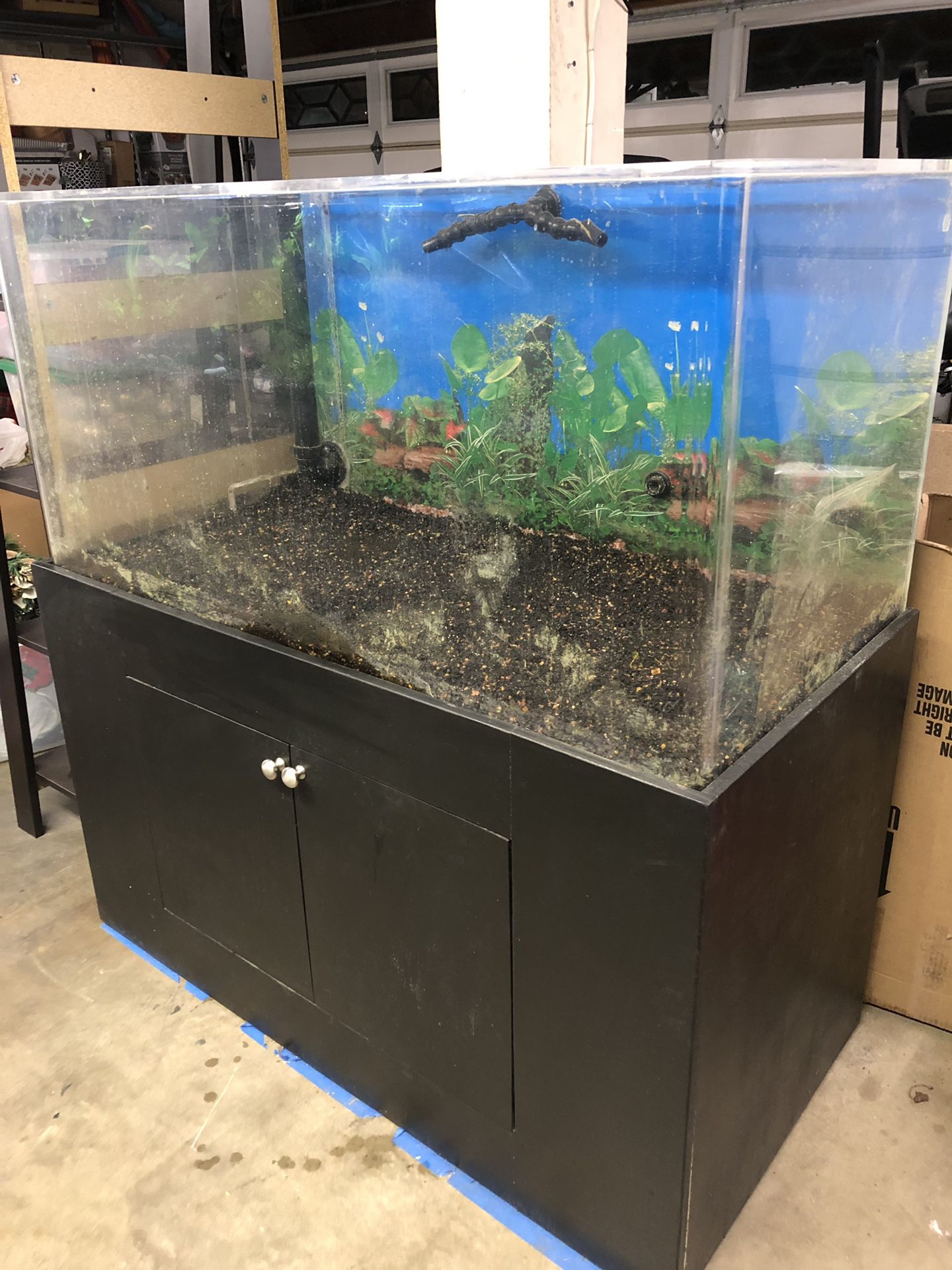 120 gallon acrylic aquarium