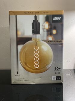 Feit Electric Lightbulb