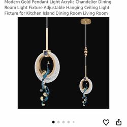 Hanging Ceiling Light
