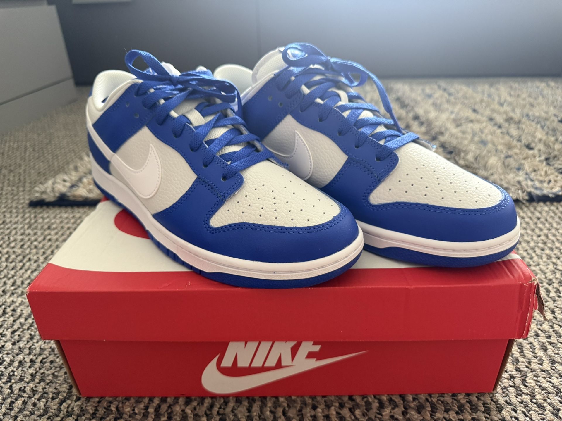 Nike Dunks NEW