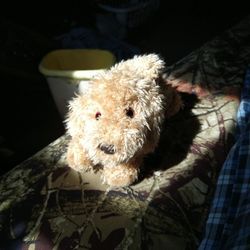 GUND Barky Puppy Dog Plush Golden Doodle Stuffed Animal Toy 40815 Red Collar 9"