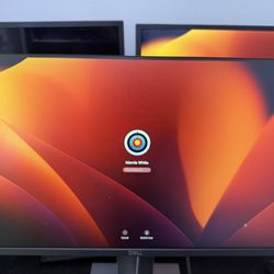 Dell P24 Monitor 
