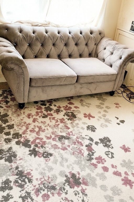 Light Grey velvet sofa 