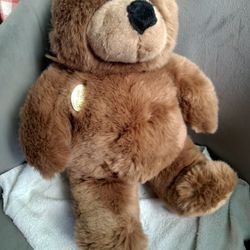 Teddy Bear Gund 