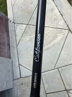 Salt water Spinning Rod