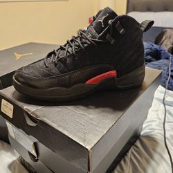 Air Jordan 12s