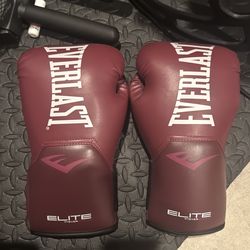 Everlast Elite Training Gloves