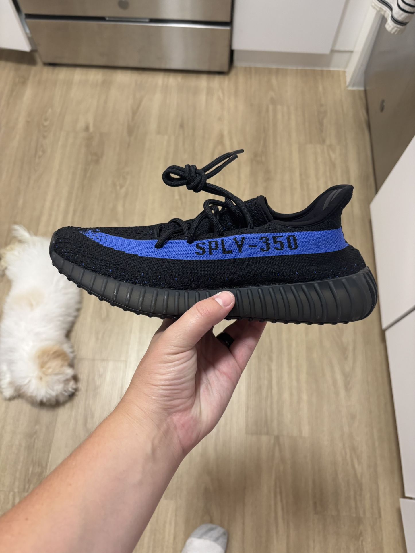 Adidas Yeezy Boost 350v2