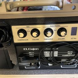 Roland EC-10M ELCajon Mic Processor
