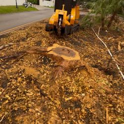 Stump Grinding 