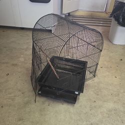 Bird Cage