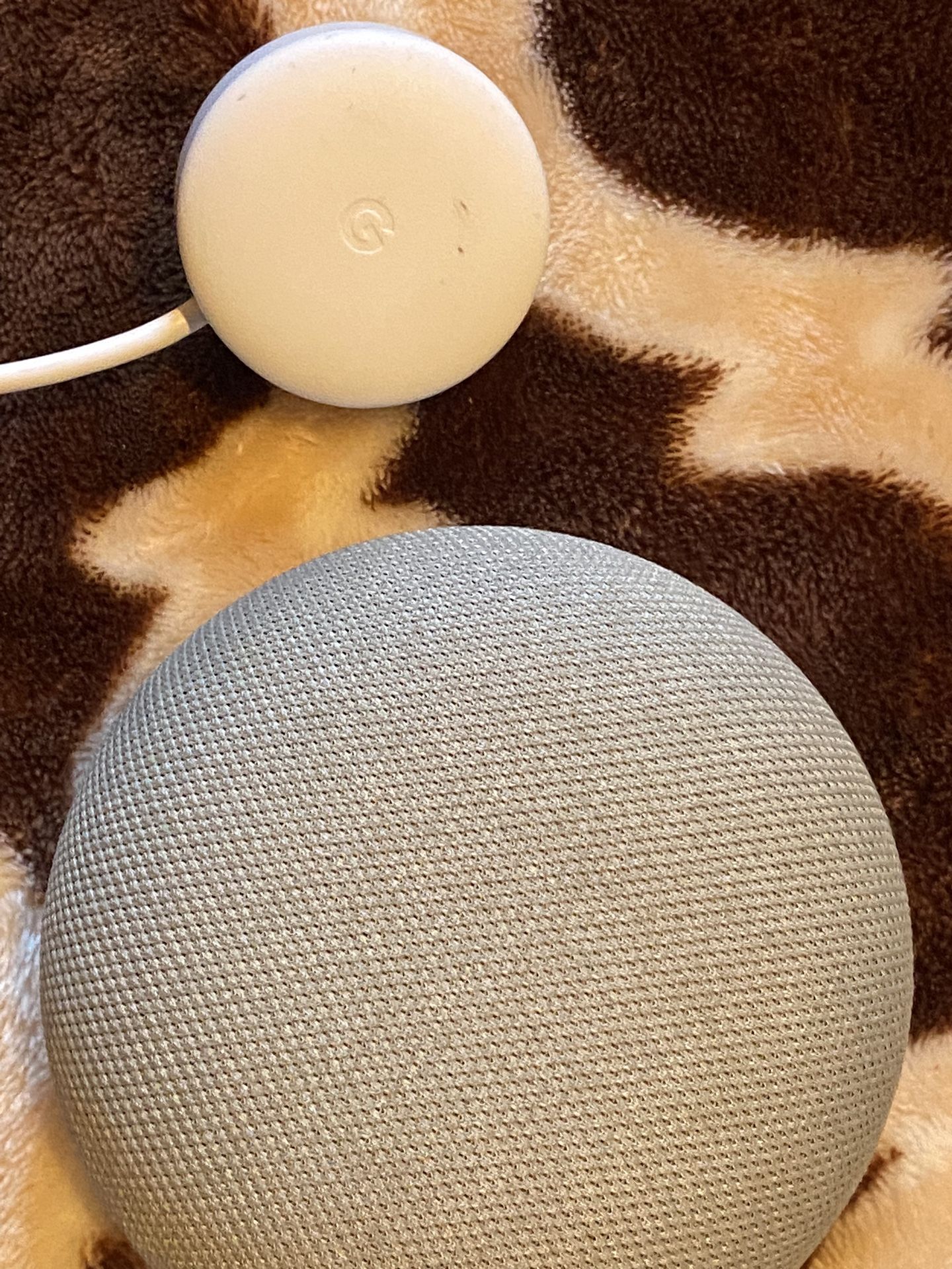 Google Nest Mini