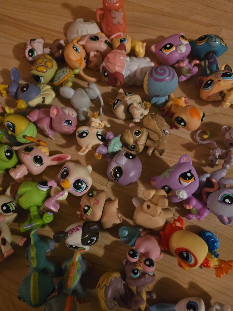 Little Pet Shop