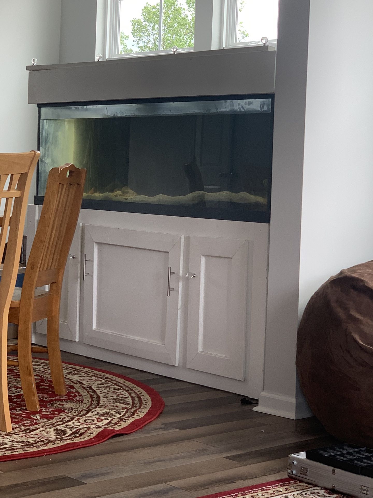 Fish Tank & Stand