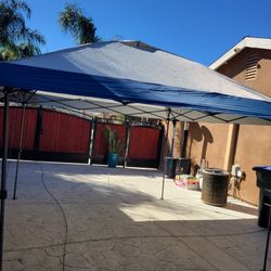 Canopy 13x13