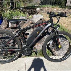 Ebike TotGuard Rider Max Adult Adventure