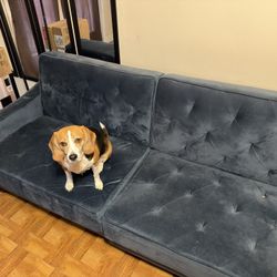 Blue Futon Couch