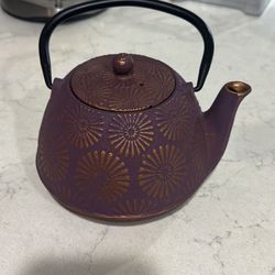 heavy purple stone kettle with mesh strainer
