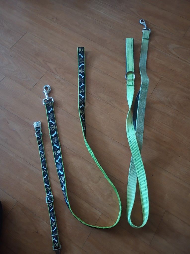 Dog Accessories.