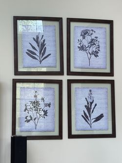 Set of 4 Botanical Framed Wall Art Prints