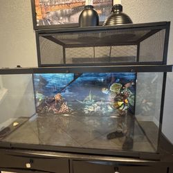 40 Gallon Tank