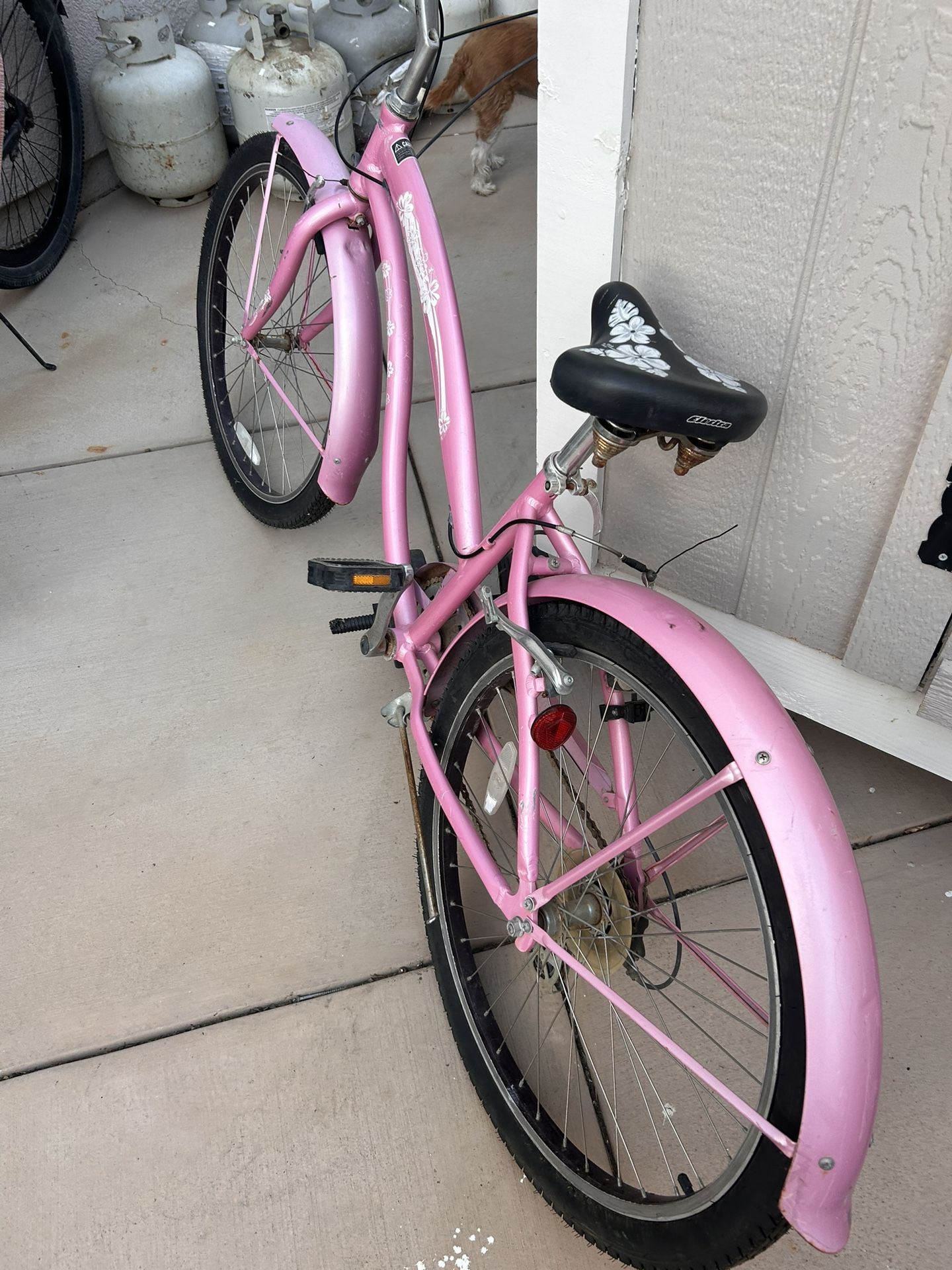 Cruiser Bike