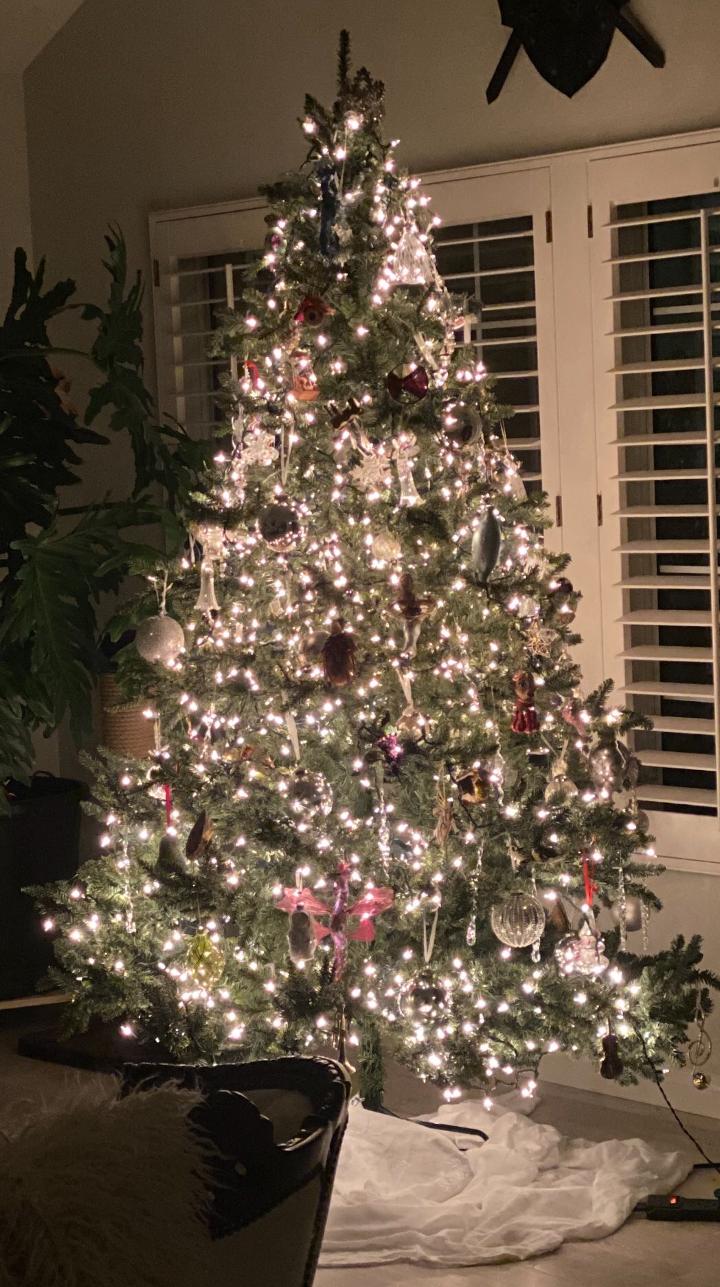 Balsam Hill Classic Blue Spruce 7.5' Tree
