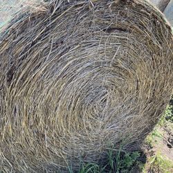 Round Hay Bale