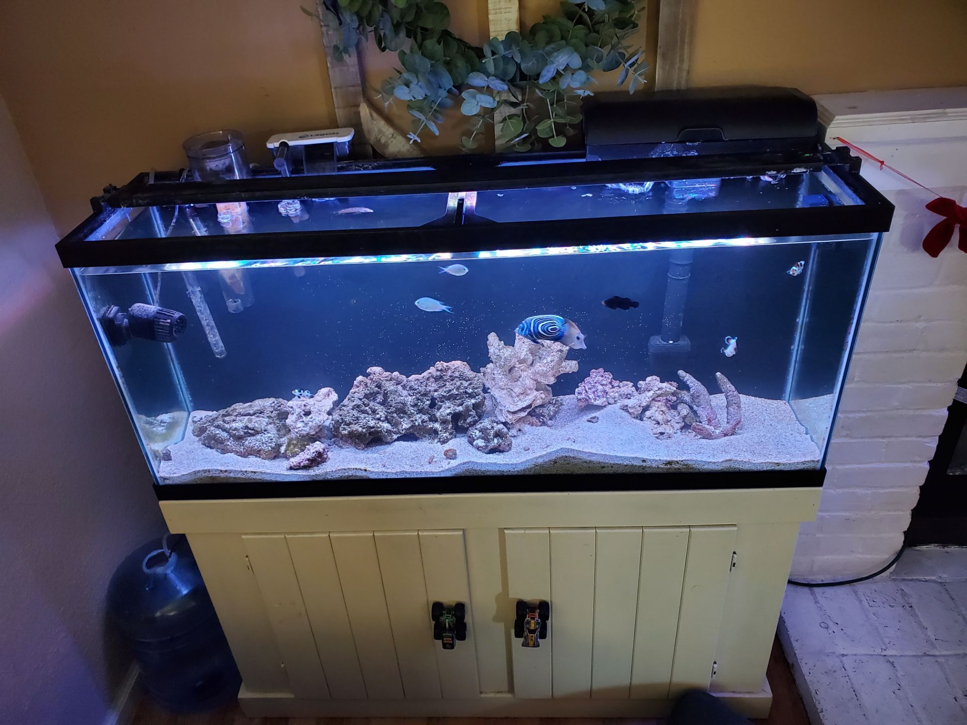 55 gallon fish tank