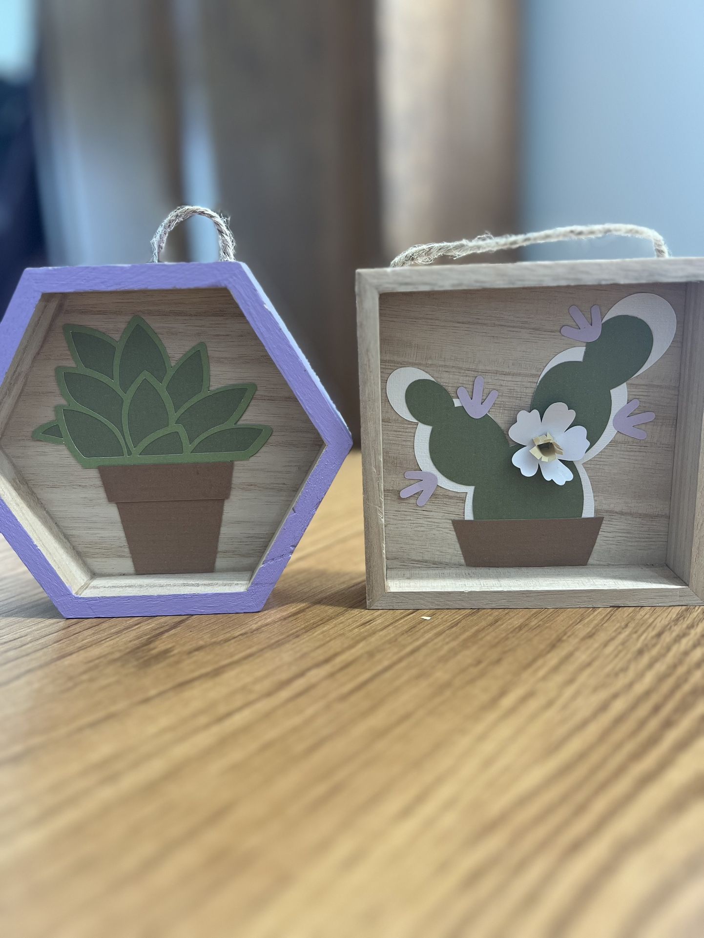 Succulent And Plant Decor