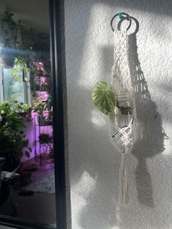 Macrame Plant Propagation hangers