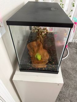 20 gallon fish tank w/ decor