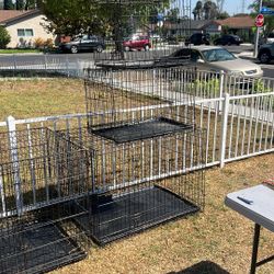 Dog Kennels 