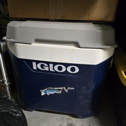 Igloo Cooler