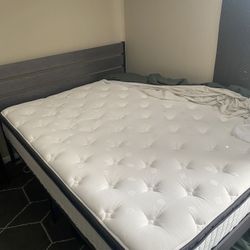 Queen Mattress/ Bed Frame Only 1 Day Left