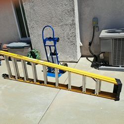 DeWalt 10ft Latter