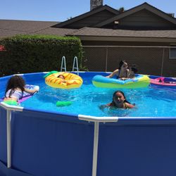 12 Ft Above Ground Pool
